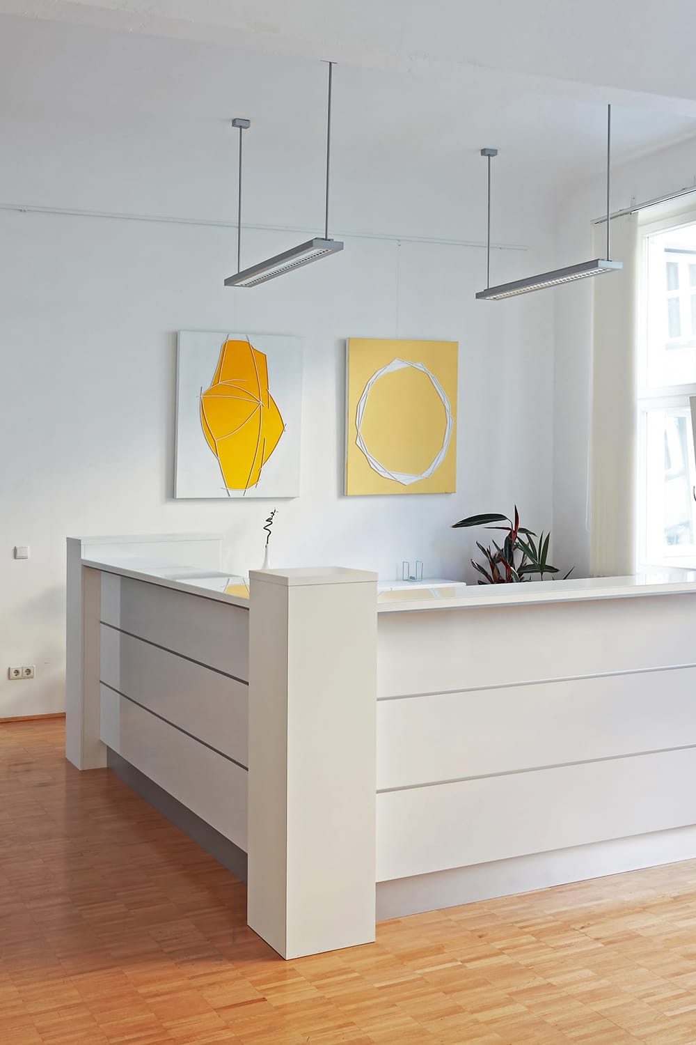 Moderner weißer Empfangstresen, Holzboden, gelbe Kunstwerke, Topfpflanze auf der Theke.